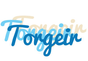 Torgeir breeze logo