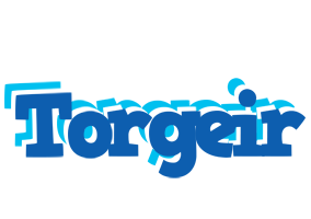 Torgeir business logo