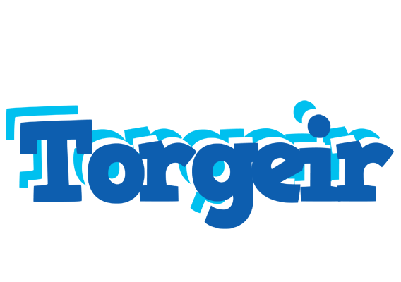 Torgeir business logo