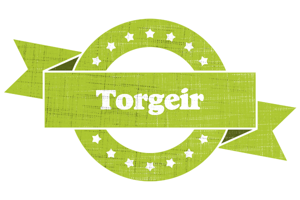 Torgeir change logo