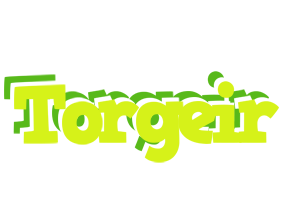 Torgeir citrus logo