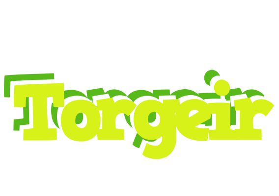 Torgeir citrus logo