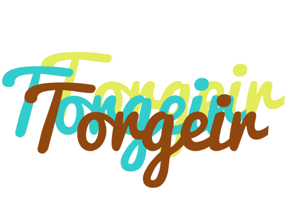 Torgeir cupcake logo