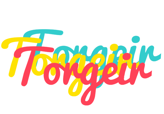 Torgeir disco logo