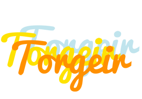 Torgeir energy logo