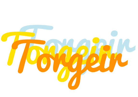 Torgeir energy logo