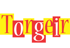 Torgeir errors logo