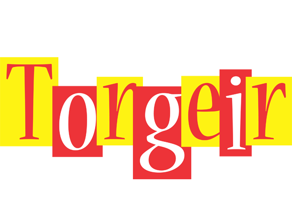 Torgeir errors logo