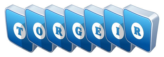 Torgeir flippy logo