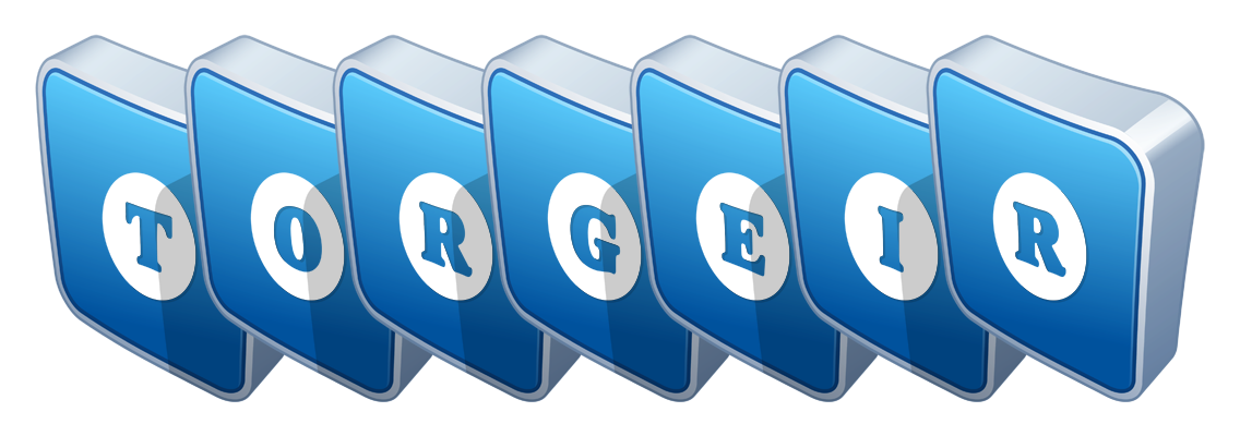 Torgeir flippy logo