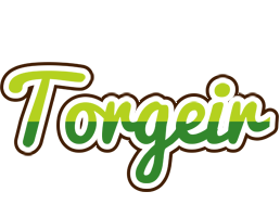 Torgeir golfing logo