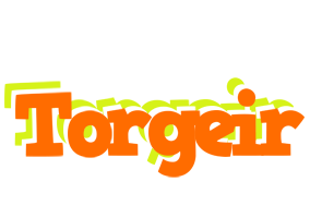 Torgeir healthy logo