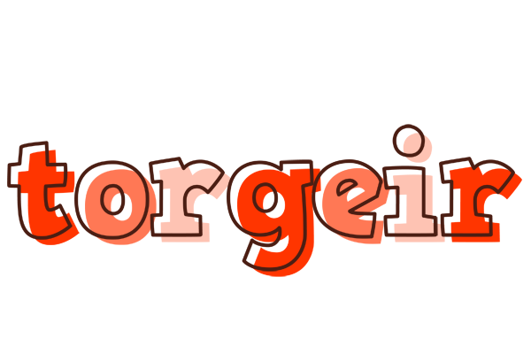 Torgeir paint logo