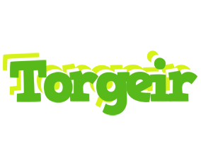 Torgeir picnic logo