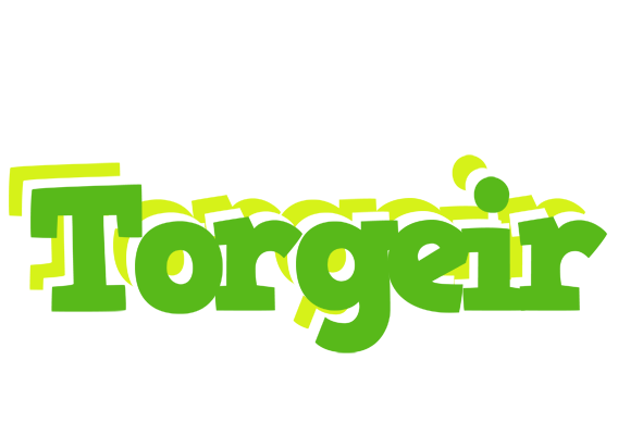 Torgeir picnic logo