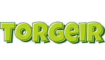 Torgeir summer logo