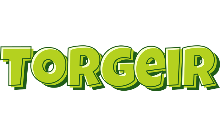 Torgeir summer logo