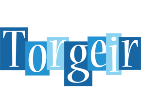 Torgeir winter logo