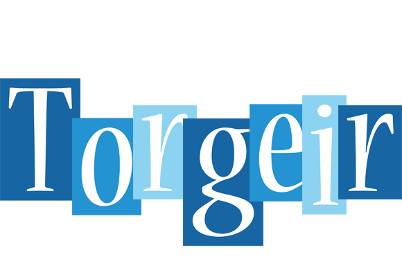 Torgeir winter logo