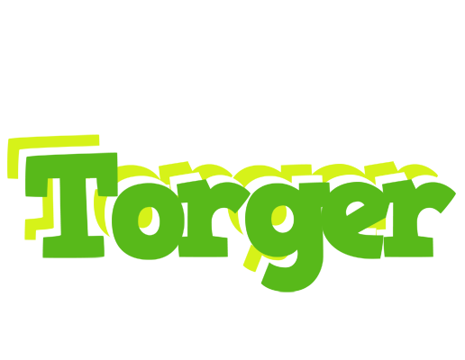 Torger picnic logo
