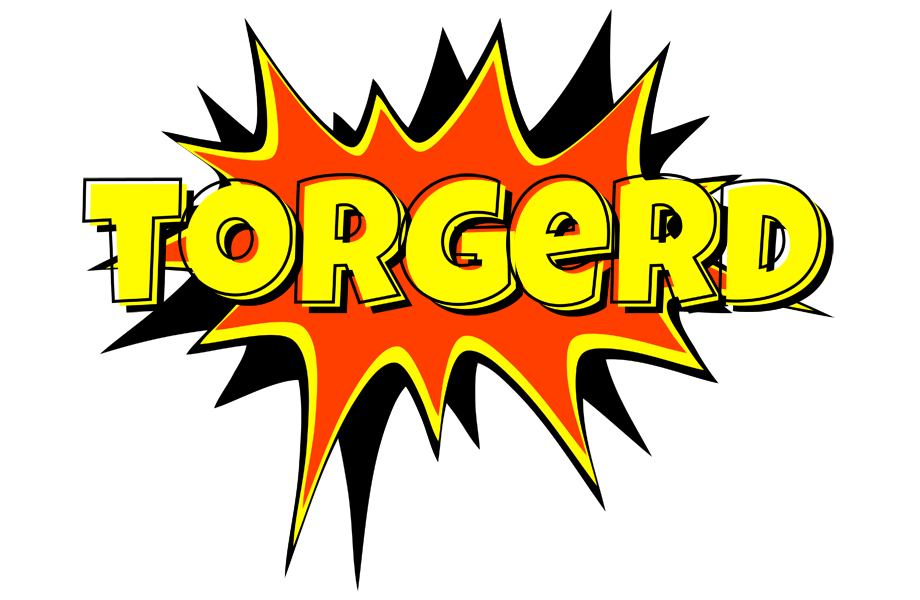 Torgerd bazinga logo