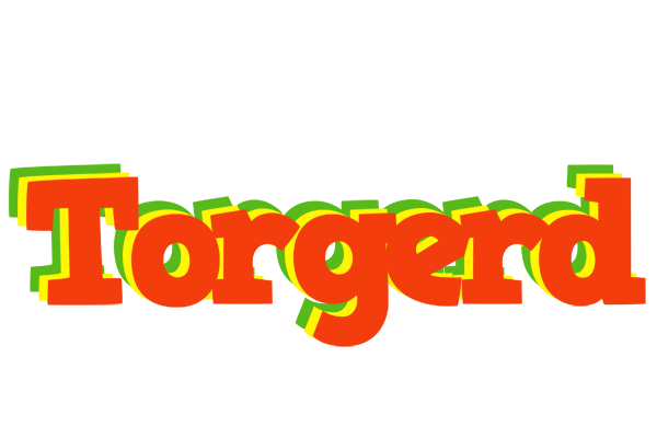 Torgerd bbq logo