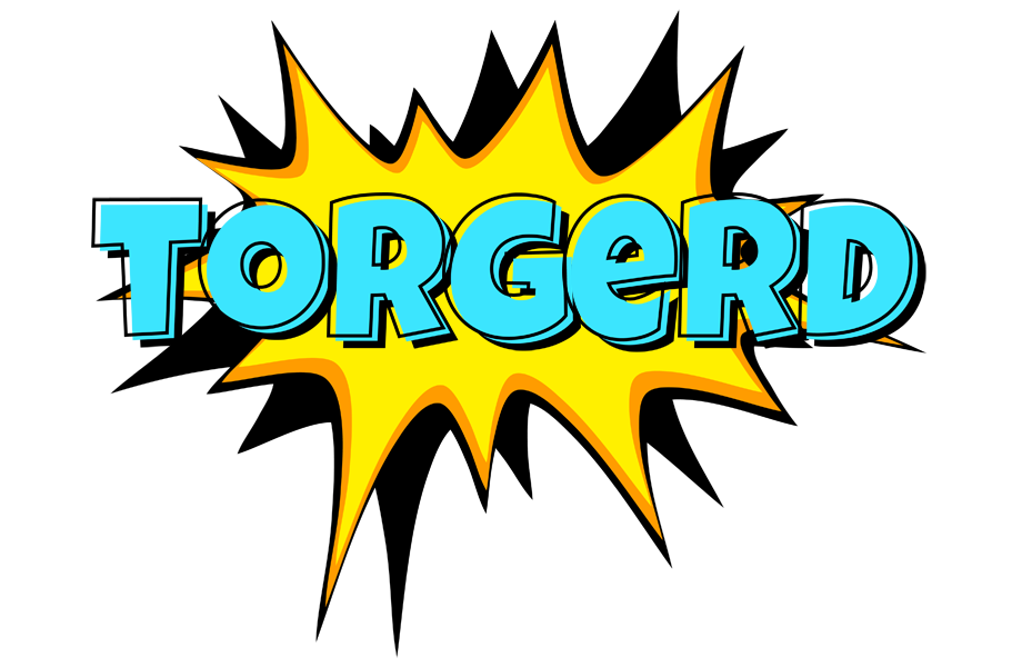 Torgerd indycar logo