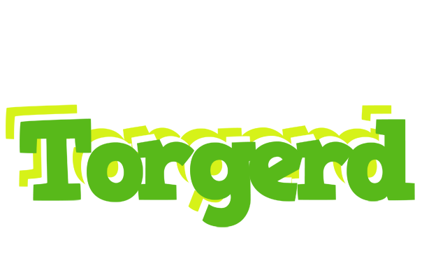 Torgerd picnic logo