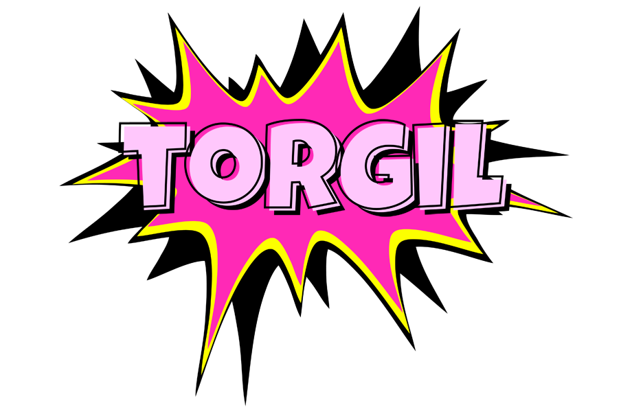 Torgil badabing logo