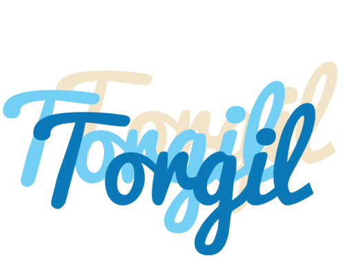 Torgil breeze logo