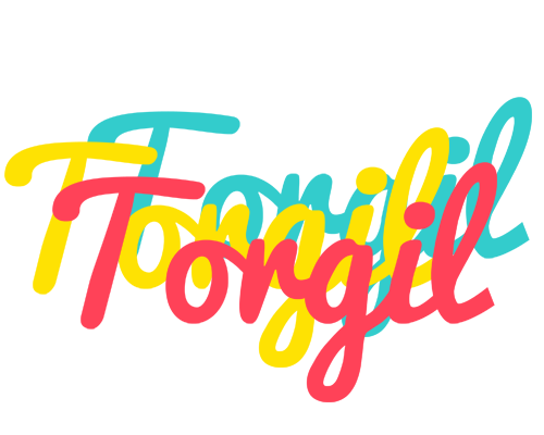 Torgil disco logo