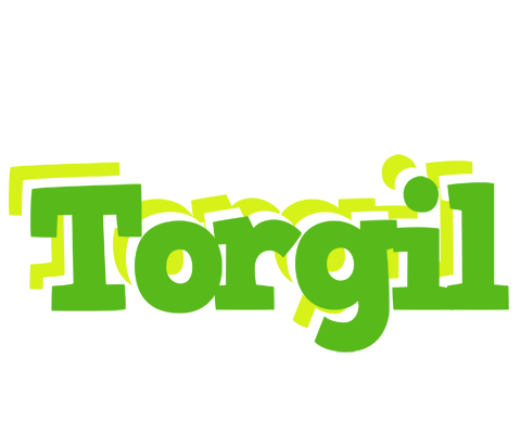 Torgil picnic logo