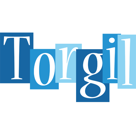 Torgil winter logo