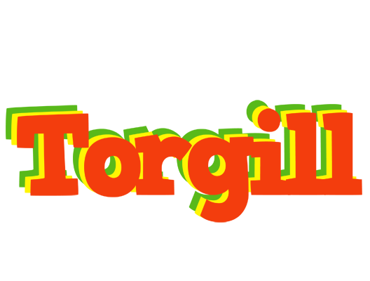 Torgill bbq logo