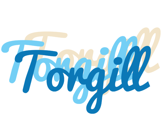 Torgill breeze logo
