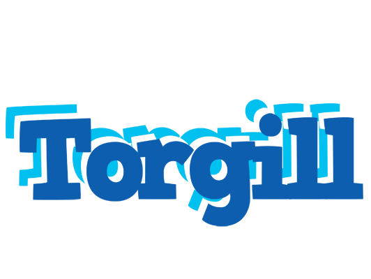 Torgill business logo
