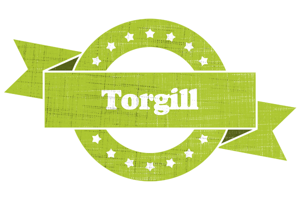 Torgill change logo