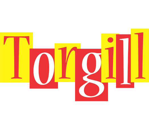 Torgill errors logo