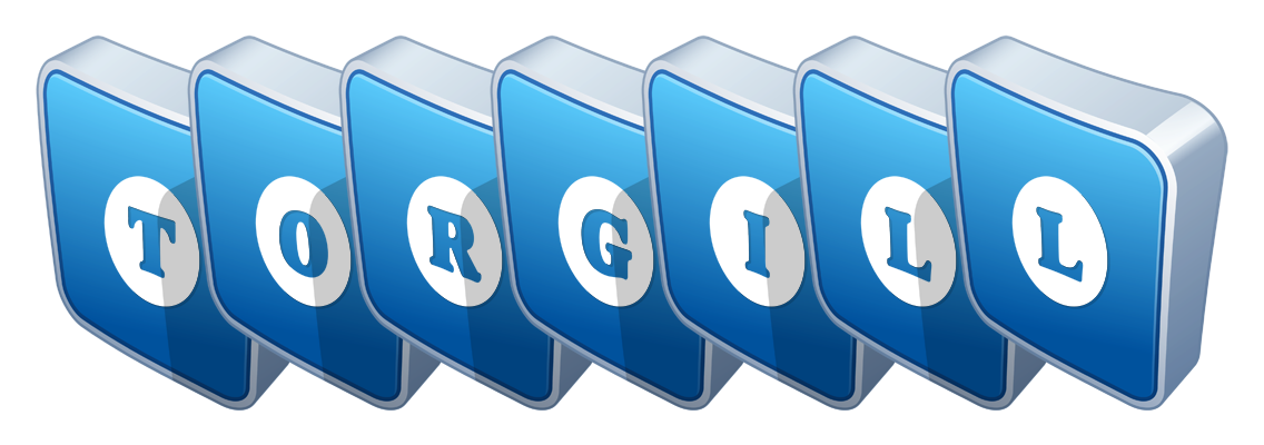 Torgill flippy logo
