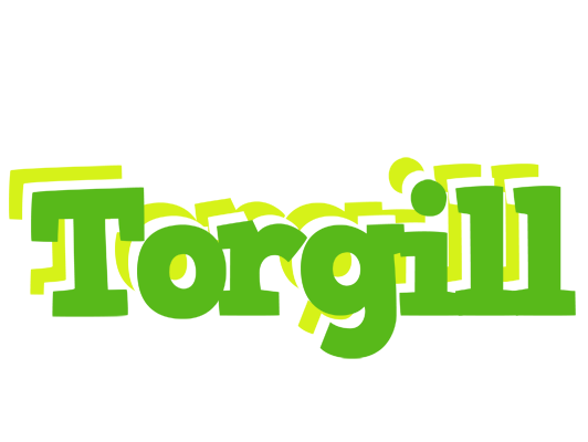 Torgill picnic logo