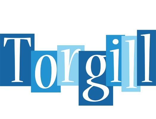 Torgill winter logo