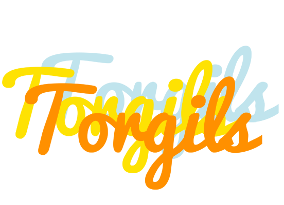 Torgils energy logo