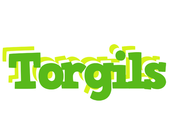 Torgils picnic logo