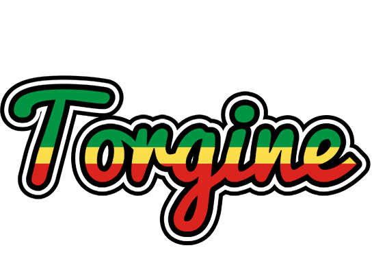 Torgine african logo