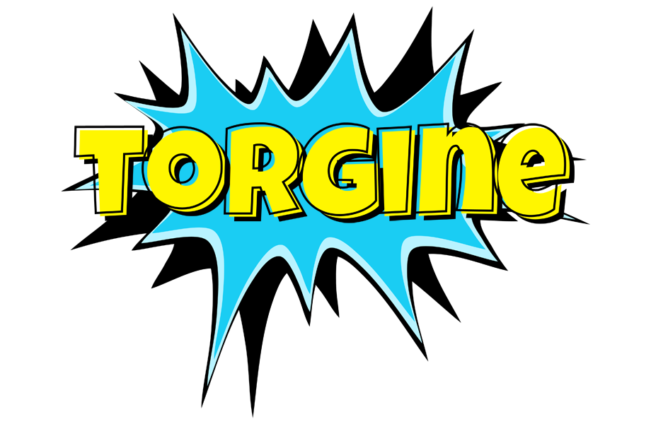 Torgine amazing logo