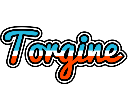 Torgine america logo