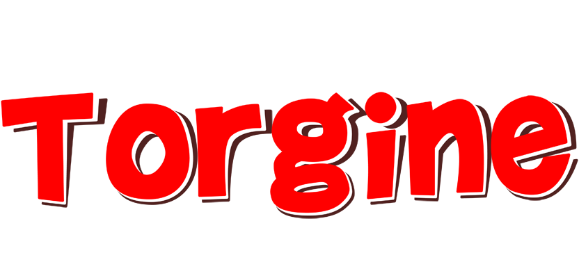 Torgine basket logo