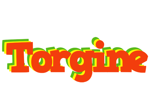 Torgine bbq logo