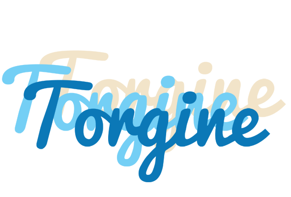 Torgine breeze logo
