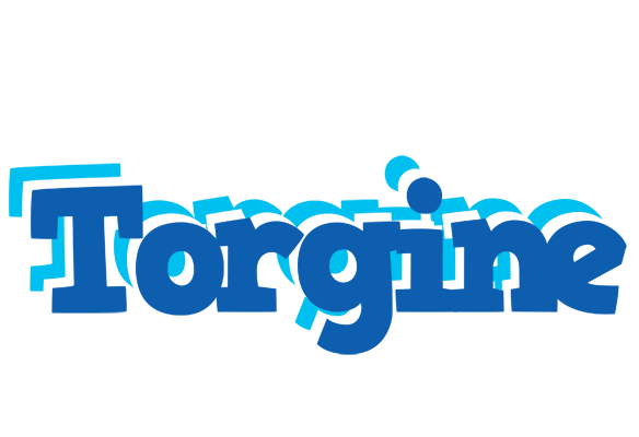 Torgine business logo